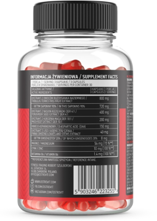 kuvatõmmis 2026 02 03 232538